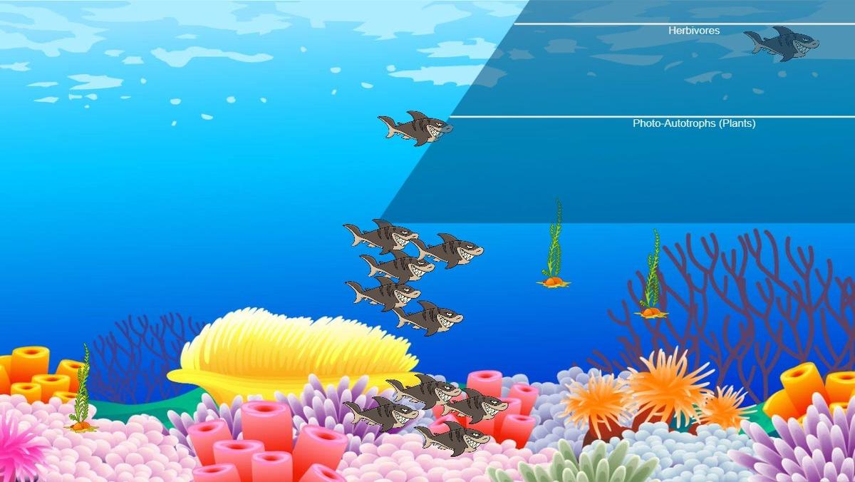 Ocean Ecological Pyramid