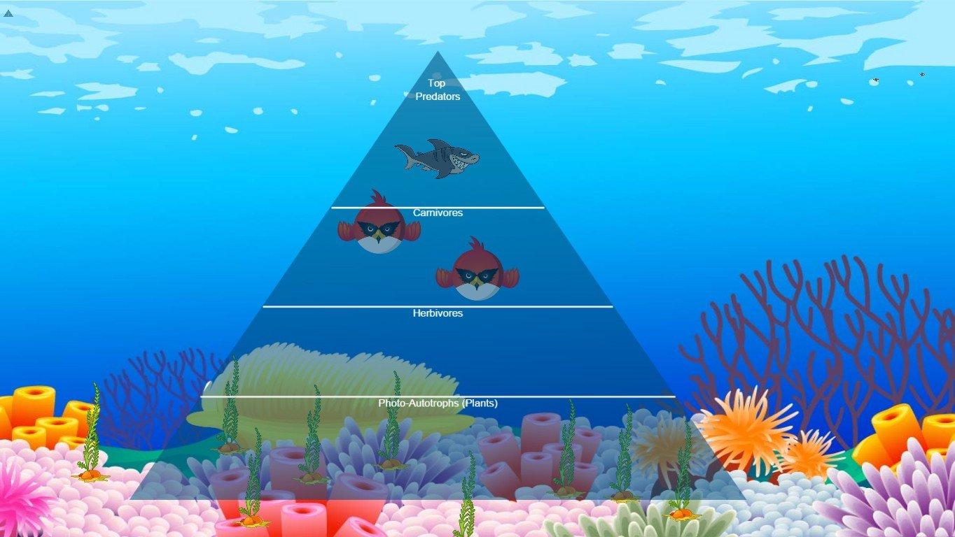 Ocean Ecological Pyramid