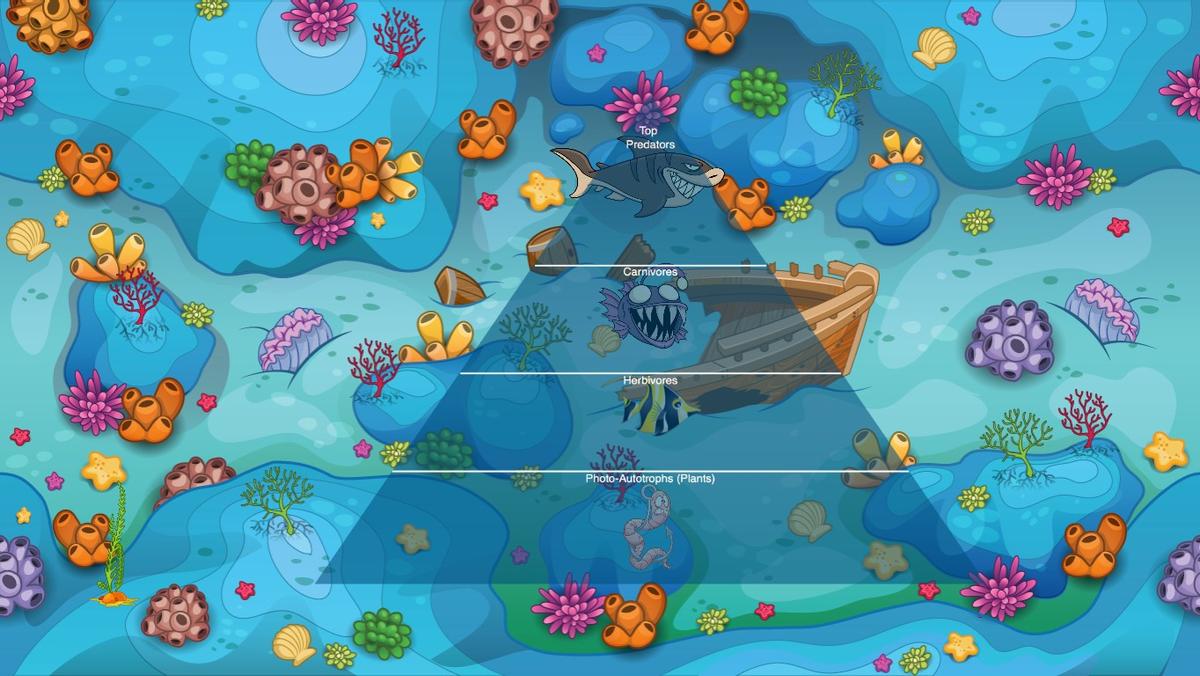 Ocean Ecological Pyramid