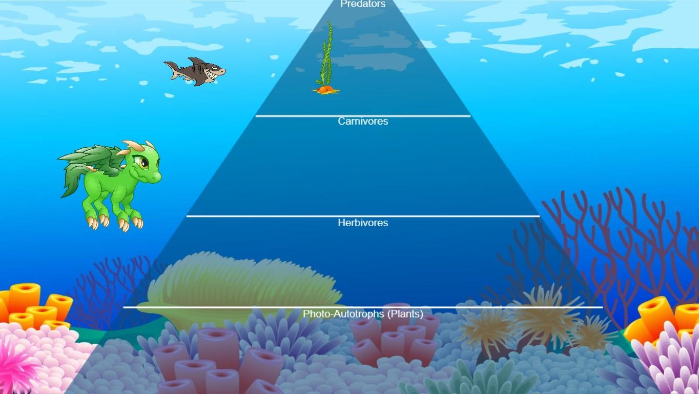 Ocean Ecological Pyramid