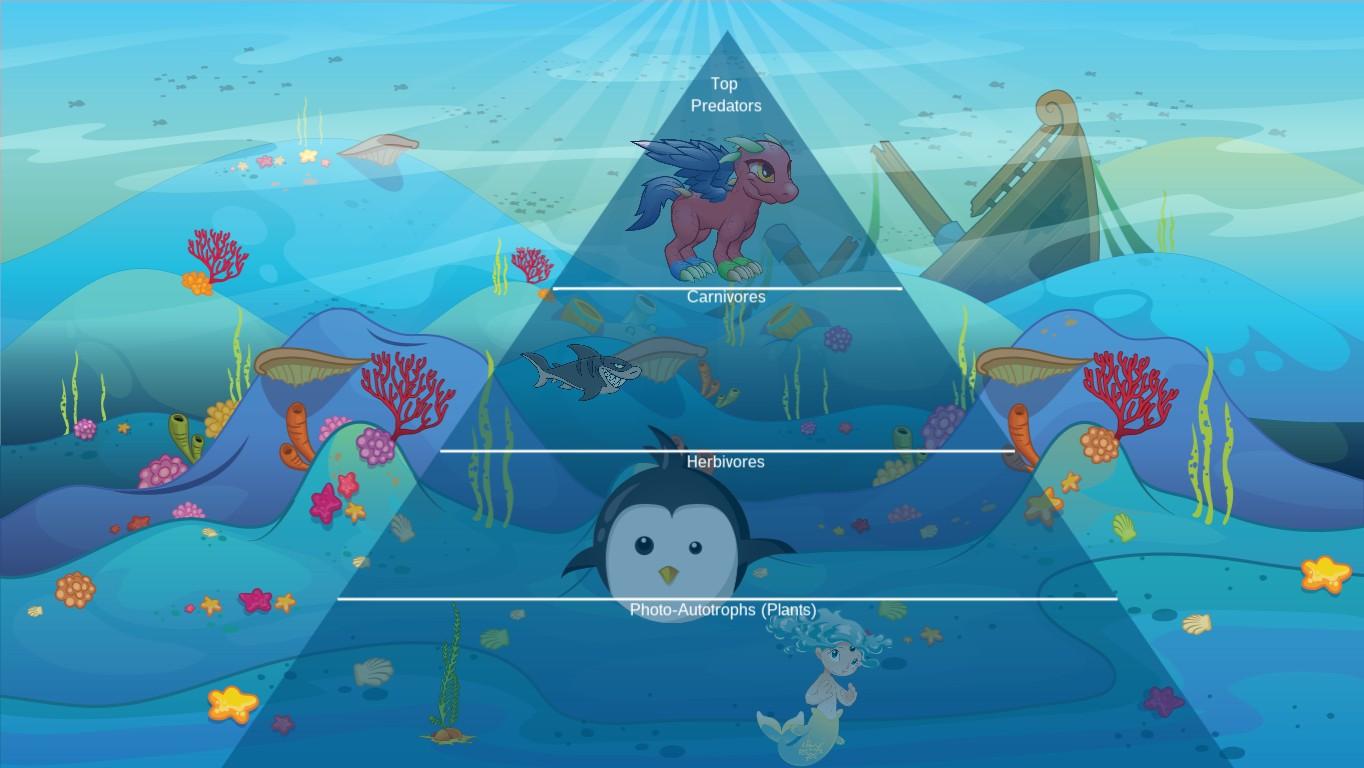 Ocean Ecological Pyramid