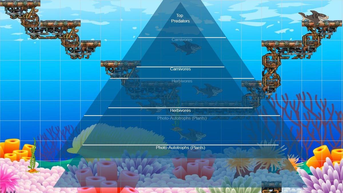 Ocean Ecological Pyramid