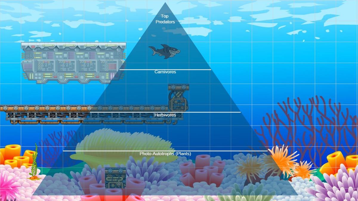 Ocean Ecological Pyramid