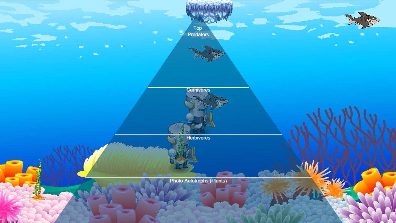 Ocean Ecological Pyramid