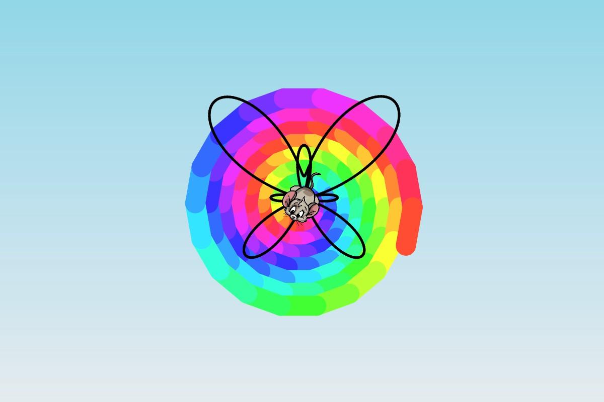 butterfly rainbow