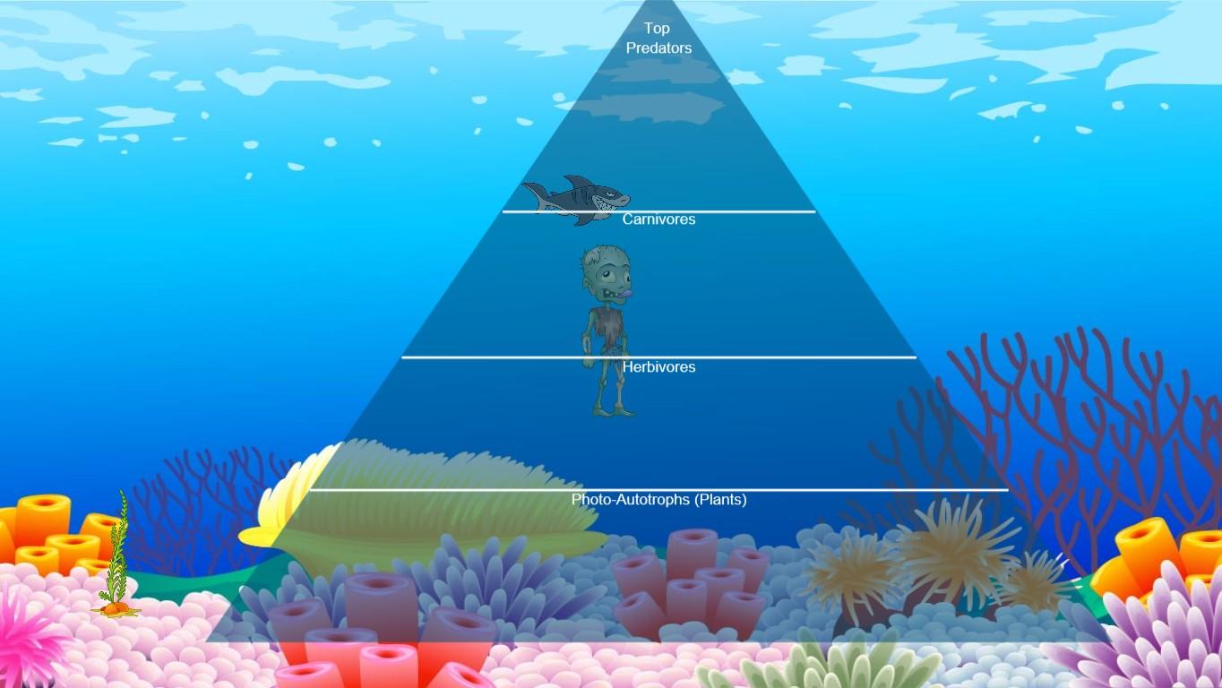 Ocean Ecological Pyramid