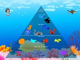 Ecological Pyramid 2