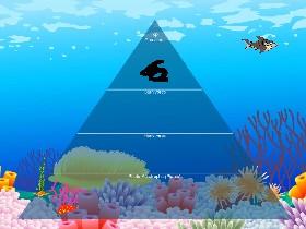 Ecological Pyramid 1