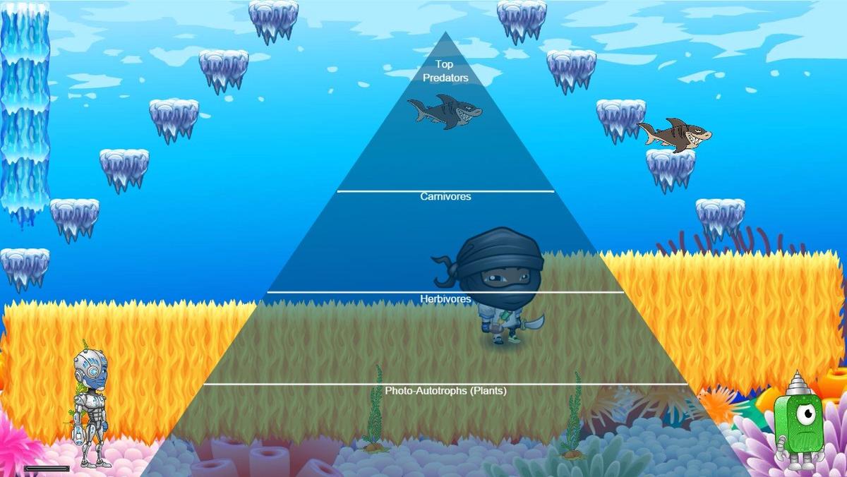 Ocean Ecological Pyramid