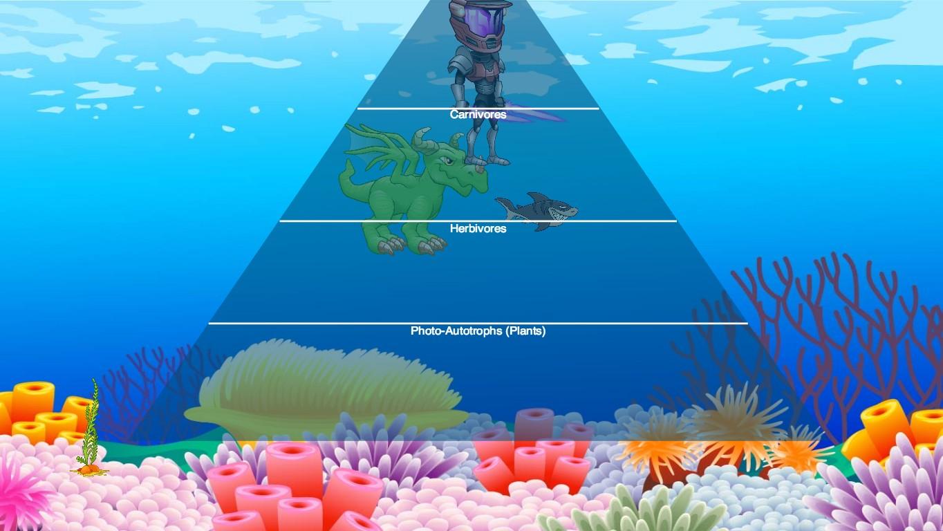 Ocean Ecological Pyramid