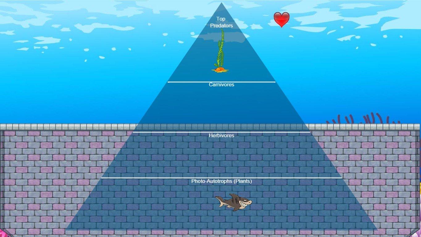 Ocean Ecological Pyramid