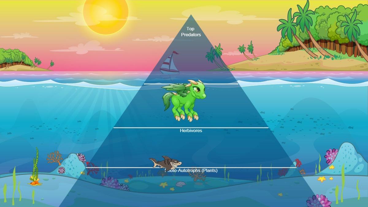 Ocean Ecological Pyramid