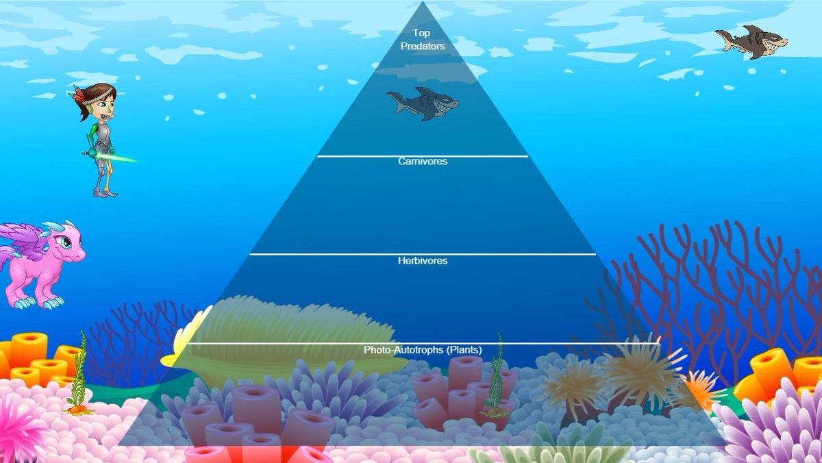 Ocean Ecological Pyramid