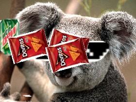 MLG Koala 2.0