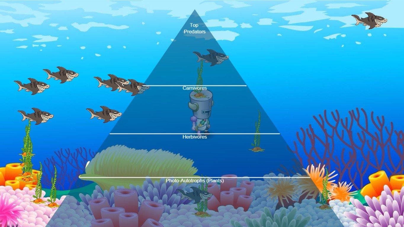 Ocean Ecological Pyramid