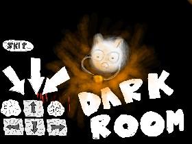 Dark Room! 1