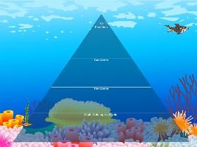 Ecological Pyramid 2