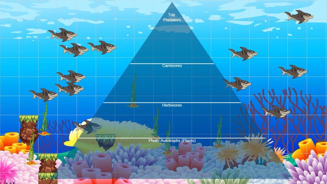 Ocean Ecological Pyramid