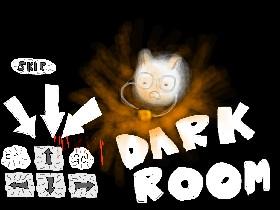 Dark Room! 4