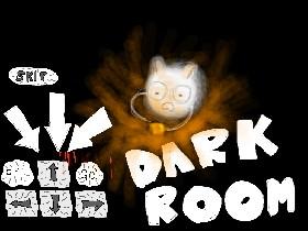 Dark Room! 1