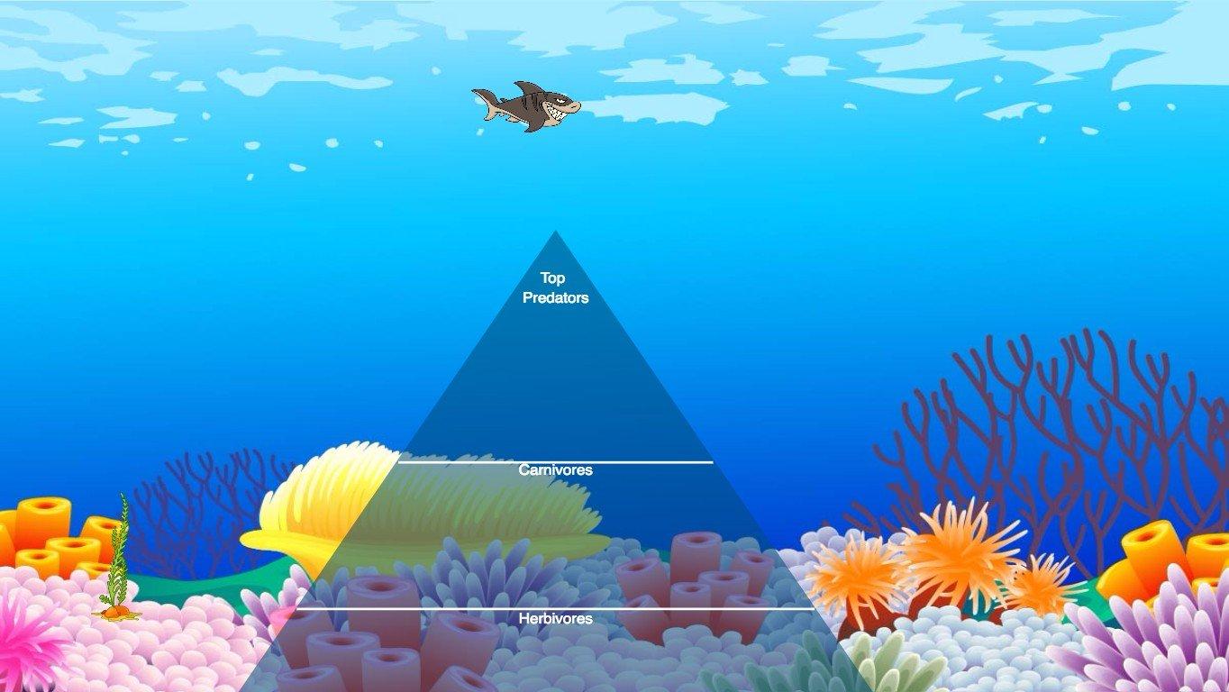 Ocean Ecological Pyramid