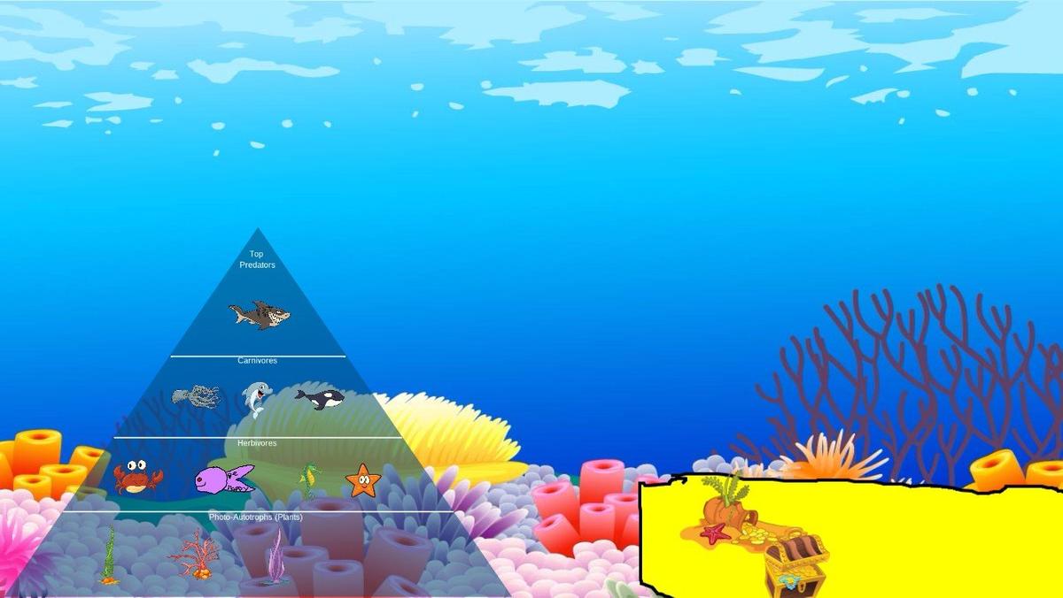 Ocean Ecological Pyramid