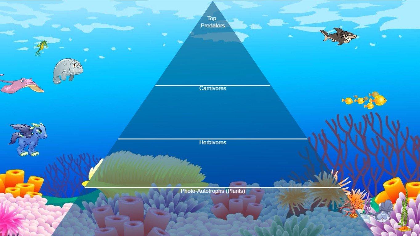 Ocean Ecological Pyramid