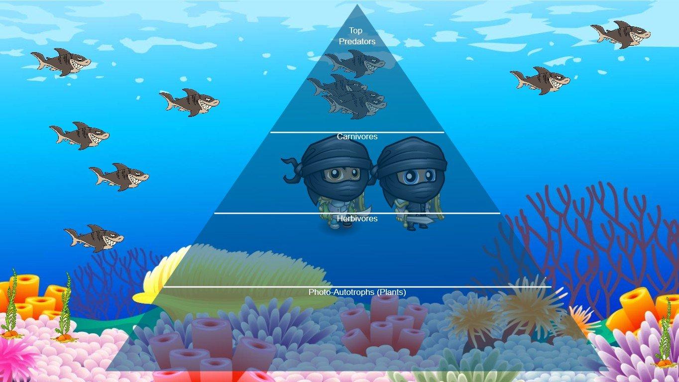 Ocean Ecological Pyramid