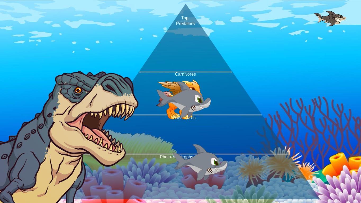 Ocean Ecological Pyramid