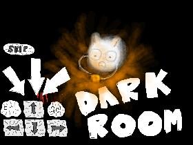 Dark Room! 1