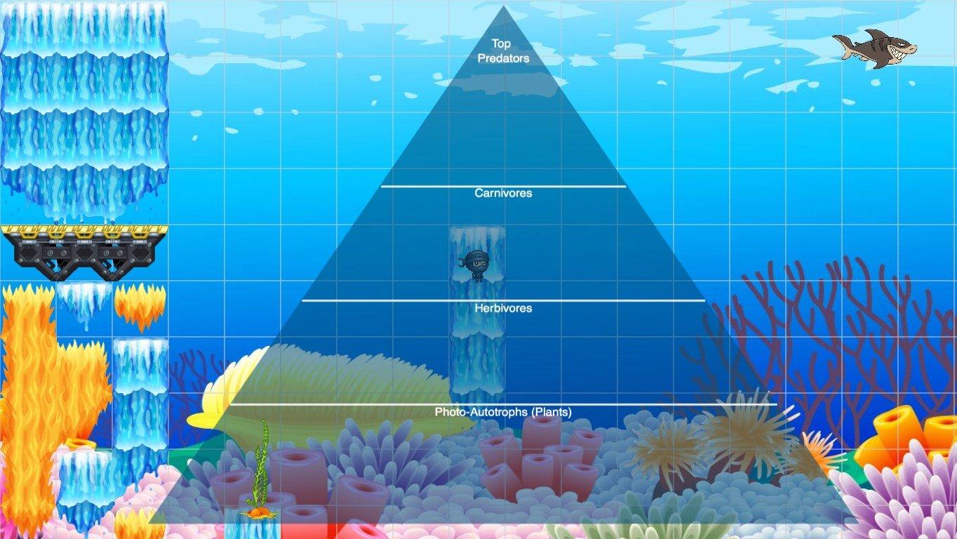 Ocean Ecological Pyramid