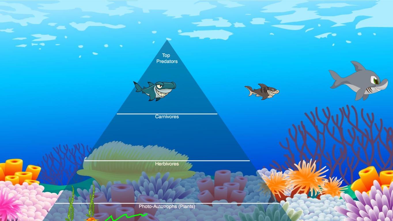 Ocean Ecological Pyramid