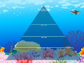 Ecological Pyramid 1