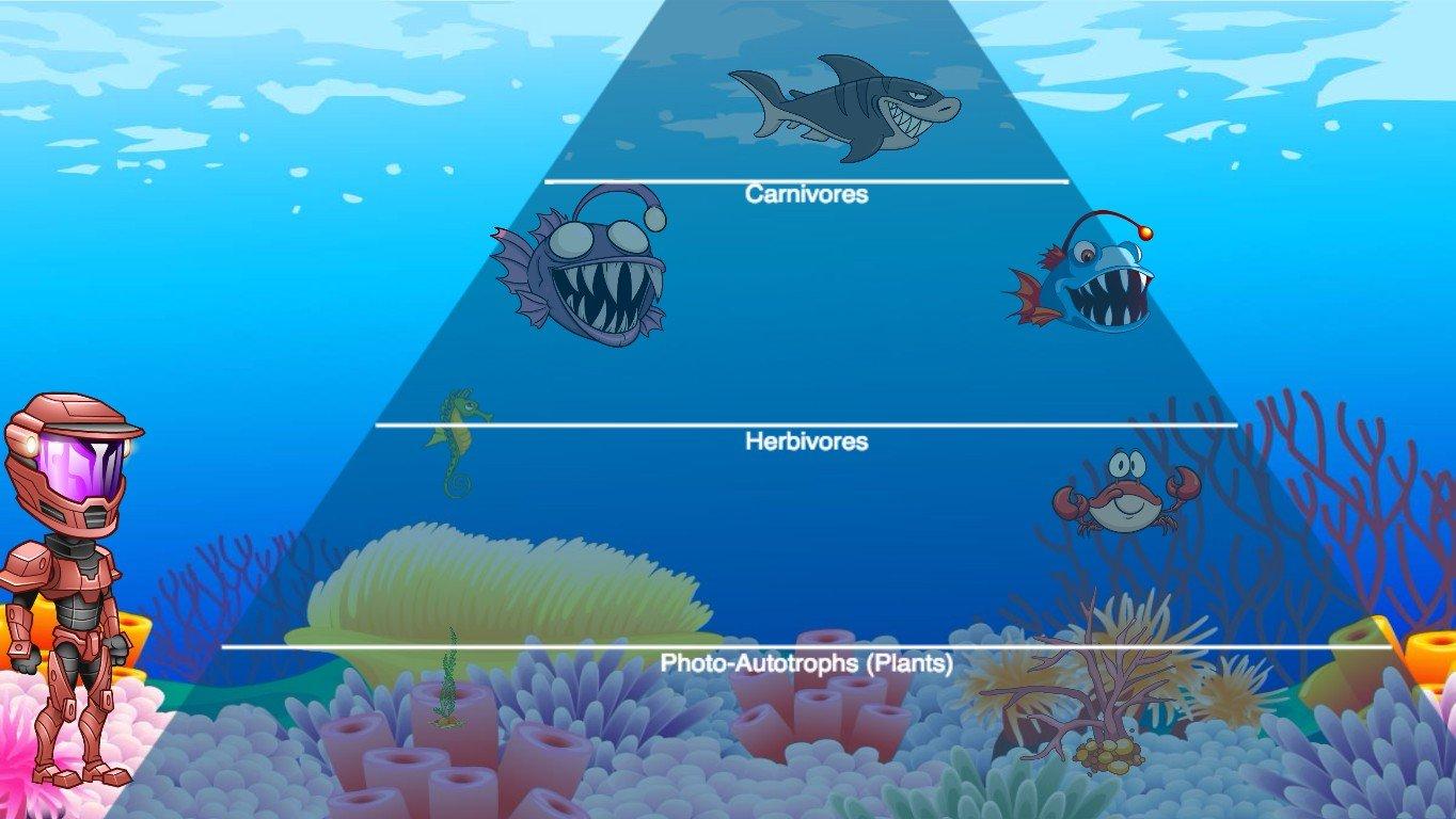 Ocean Ecological Pyramid