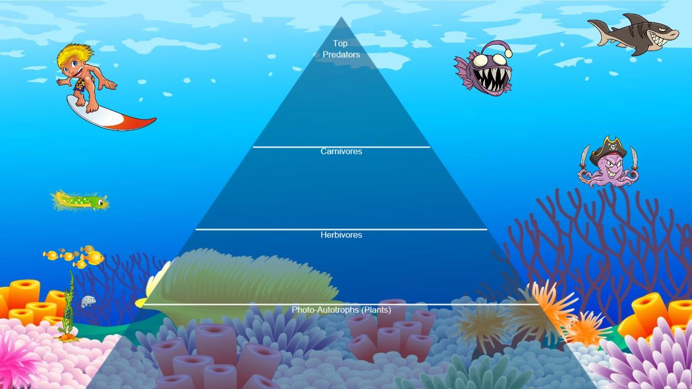 Ocean Ecological Pyramid