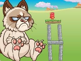 Grumpy Cat 1