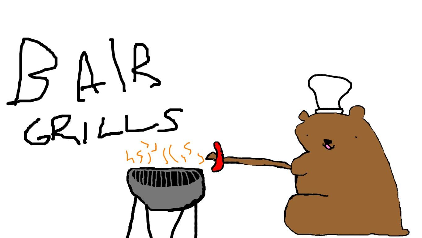 bair grills