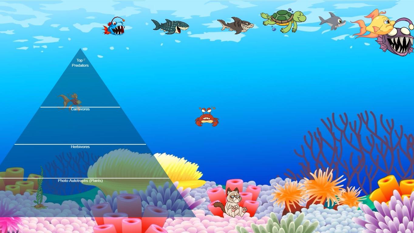 Ocean Food Chain Pyramid