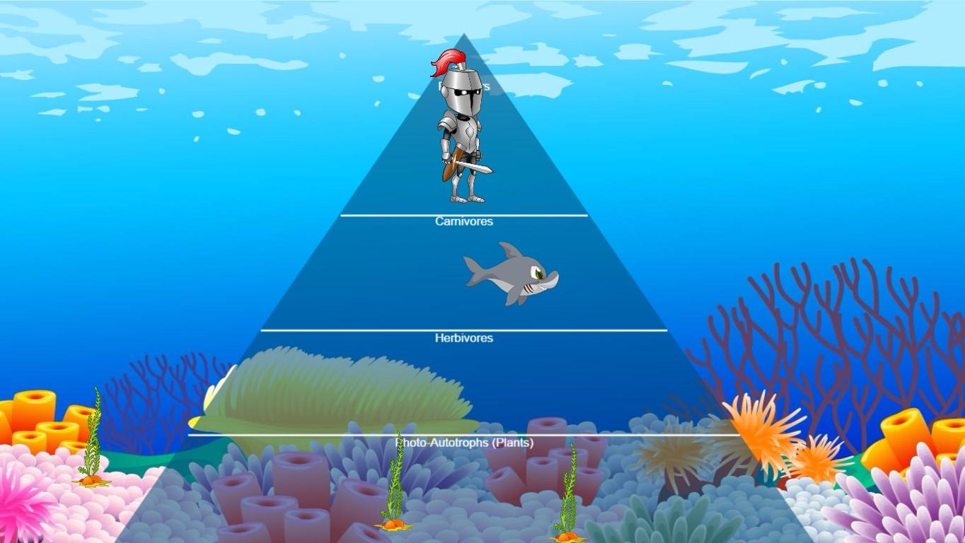 Ocean Food Chain Pyramid