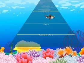 Ecological Pyramid 3