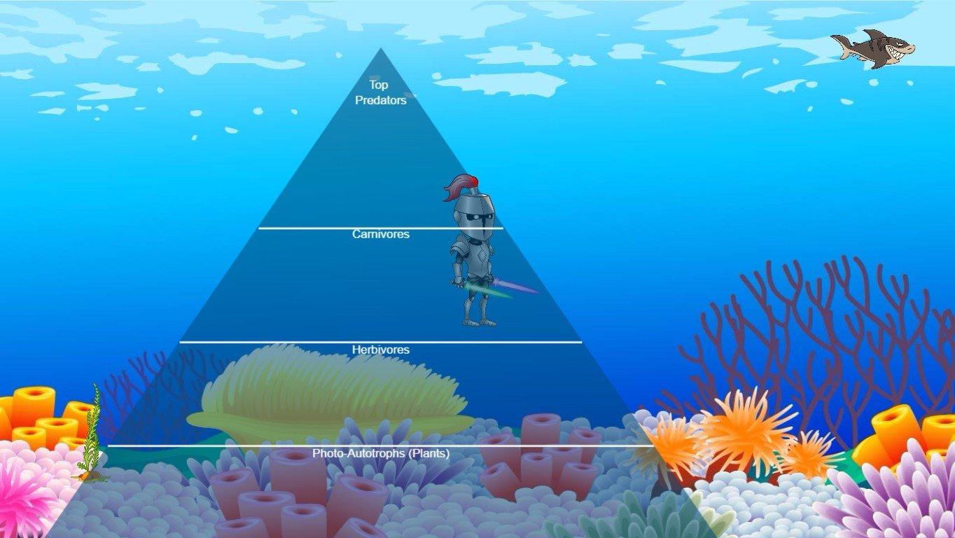 Ocean Food Chain Pyramid