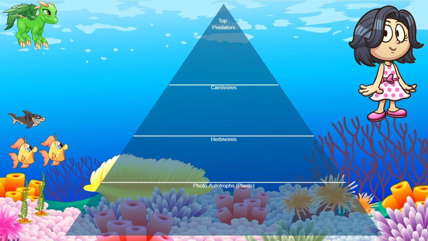 Ocean Ecological Pyramid