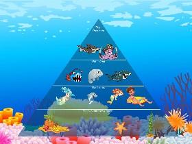 Ecological Pyramid 2