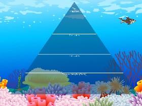 Ecological Pyramid 1