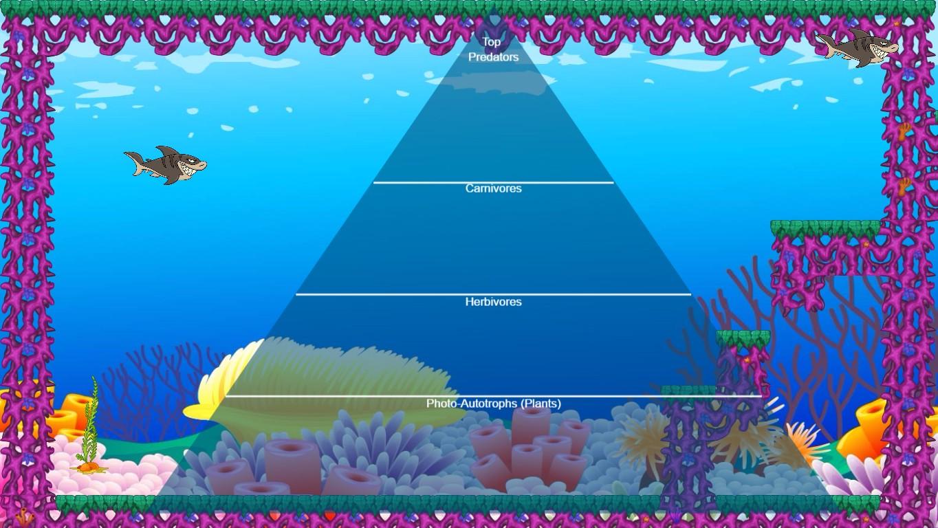 Ocean Ecological Pyramid