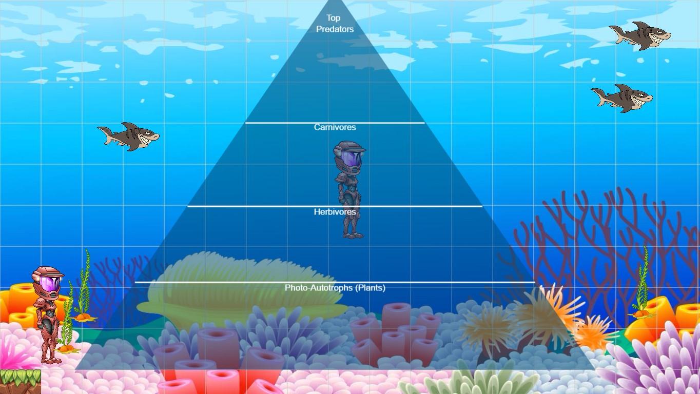 Ocean Ecological Pyramid