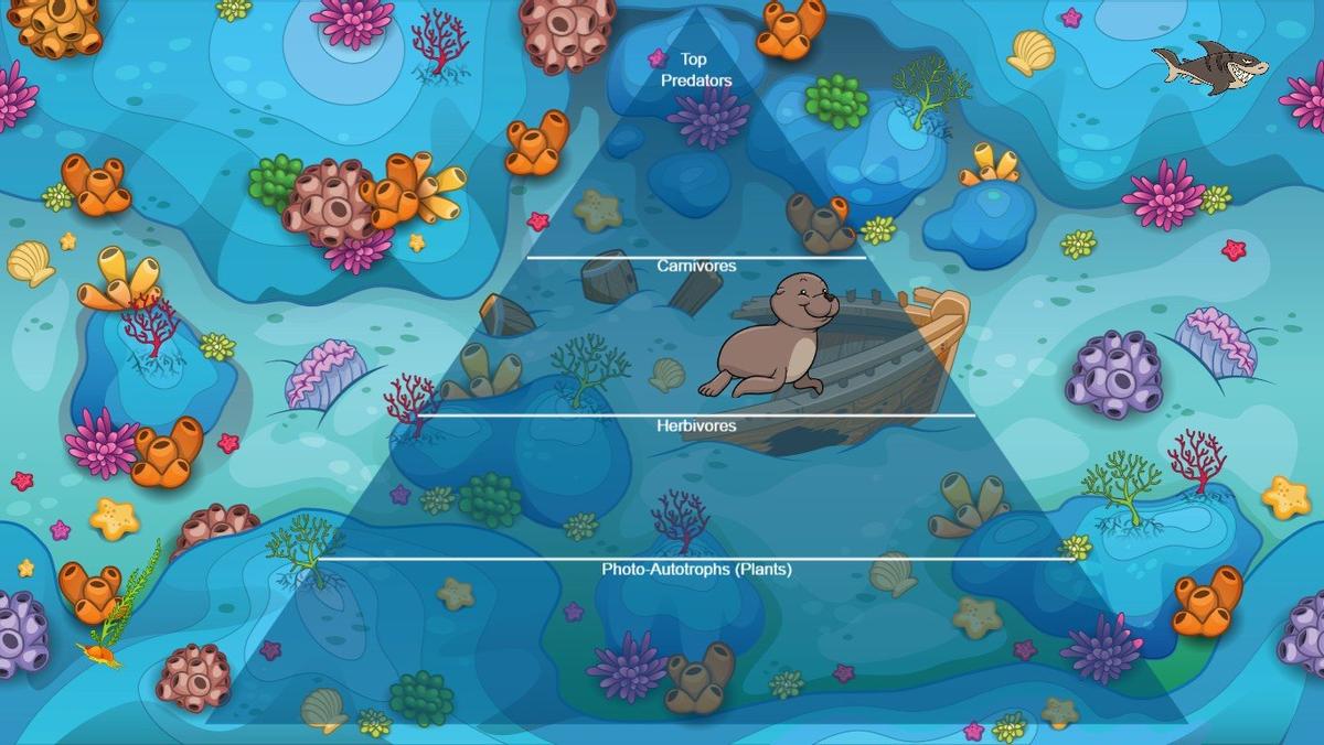 Ocean Ecological Pyramid 5E