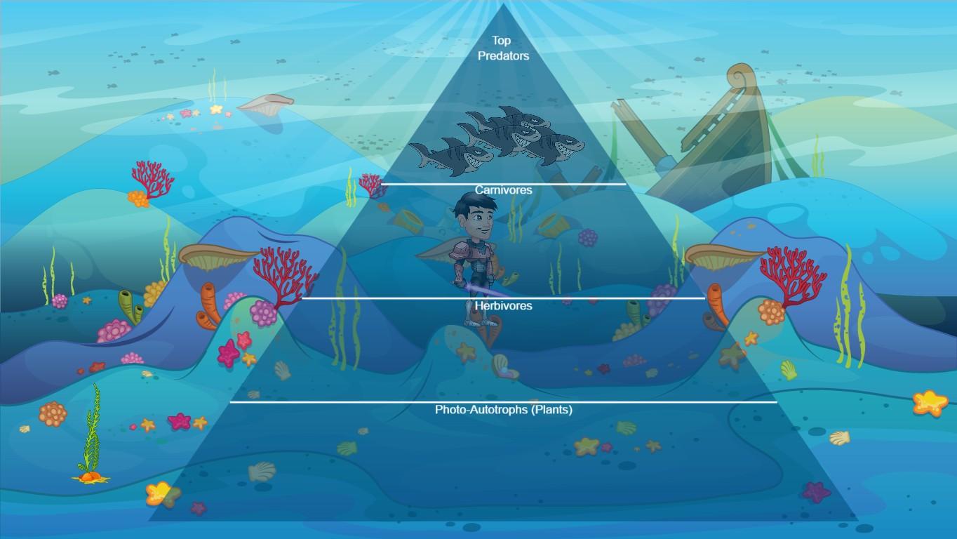 Ocean Ecological Pyramid