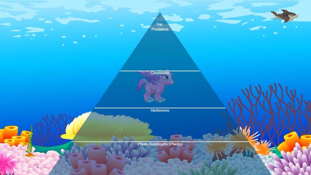 Ocean Ecological Pyramid Elena 5E