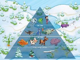 Ecological Pyramid 3